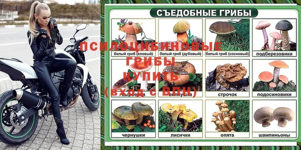 а пвп мука Алзамай